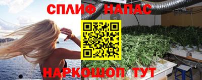 mdpv Краснознаменск