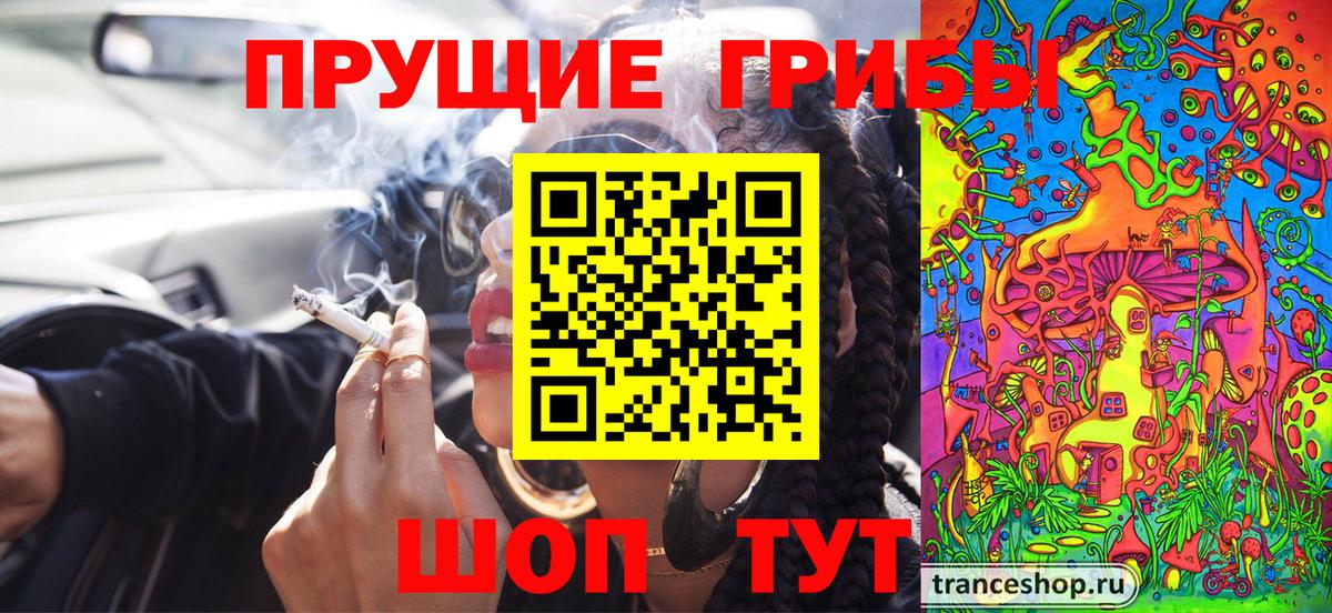 Галлюциногенные грибы GOLDEN TEACHER  Псилоцибиновые грибы мухоморы  Вход с VPN  где купить наркоту  Йошкар-Ола 