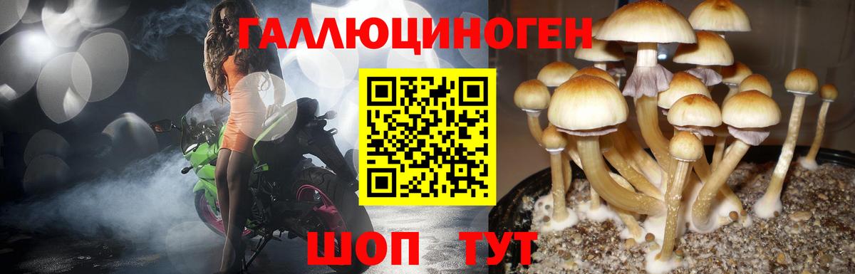 Галлюциногенные грибы Cubensis Йошкар-Ола